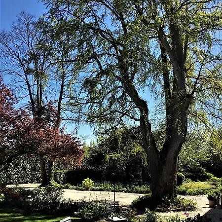 Nocleg ze śniadaniem Le Grand Arbre 3*
