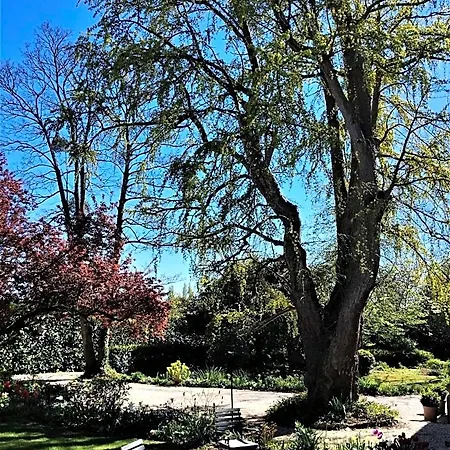 Le Grand Arbre Nocleg ze śniadaniem