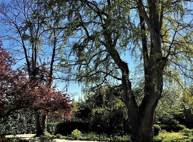 Bed & Breakfast Le Grand Arbre 3*